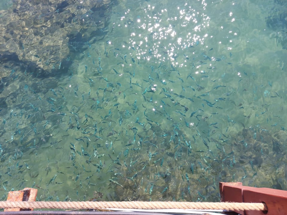 Strand VONRESORT Golden Beach