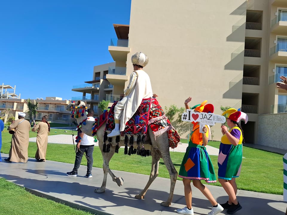 Sport & Freizeit JAZ Elite Asteria