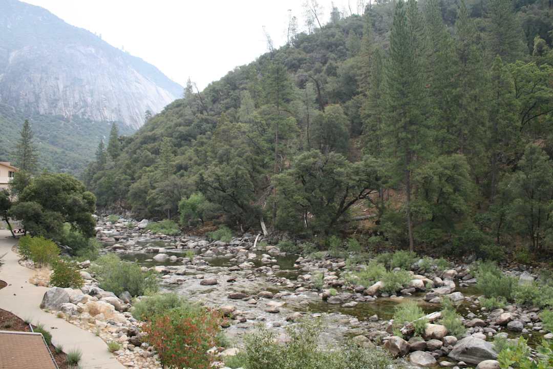 View from the balcony Hotel Yosemite View Lodge