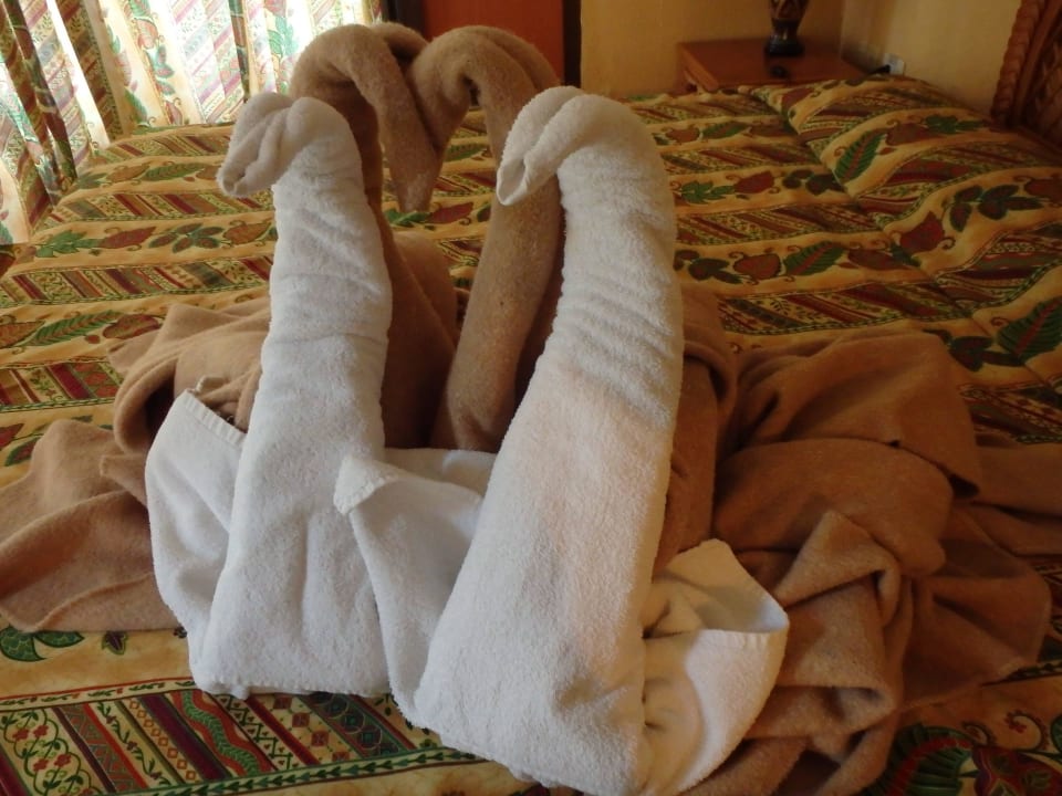 Zimmermädchenkunst Hotel Los Helechos