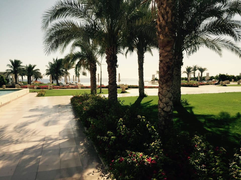 Garten Baron Palace Sahl Hasheesh