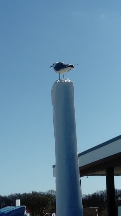 Außenansicht Haus am Meer