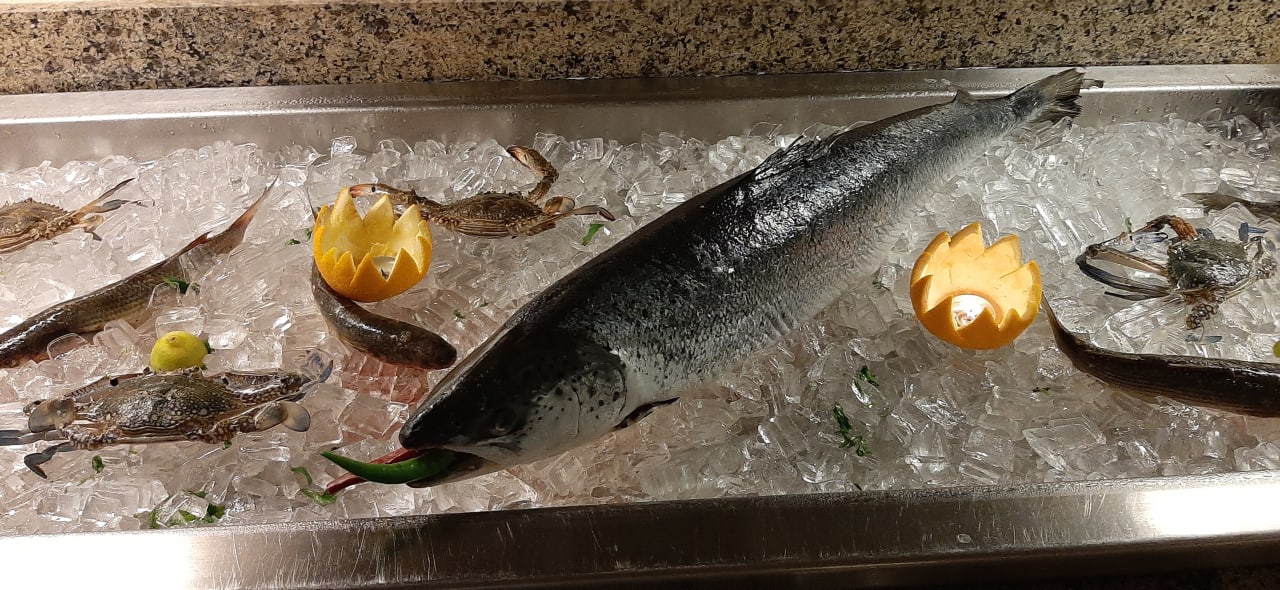 Gastro Marina Resort Port Ghalib, a member of Radisson Individuals