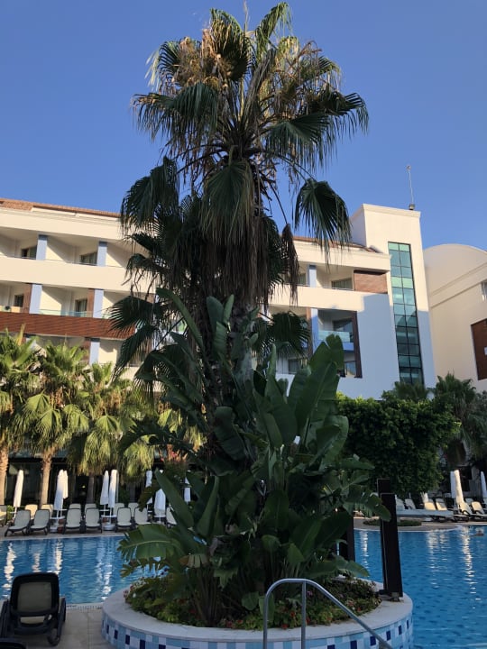 Pool Port Side Resort Hotel