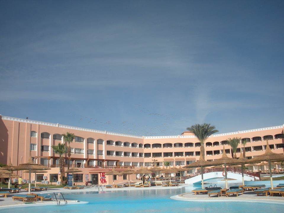 Hotel vom Meer aus Beach Albatros Resort