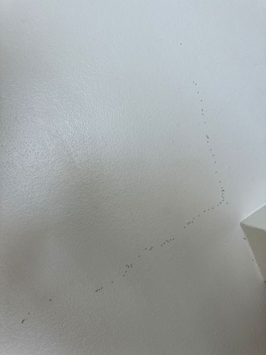 Zimmer Samui Resotel Beach Resort