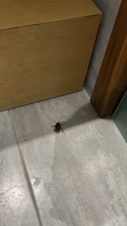 Zimmer Summer Village of Hippokrates - Adults only