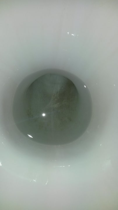 Total verdreckter Toilettenabfluss  PLAZA Premium Timmendorfer Strand