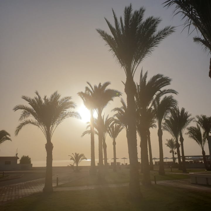 Strand Pharaoh Azur Resort