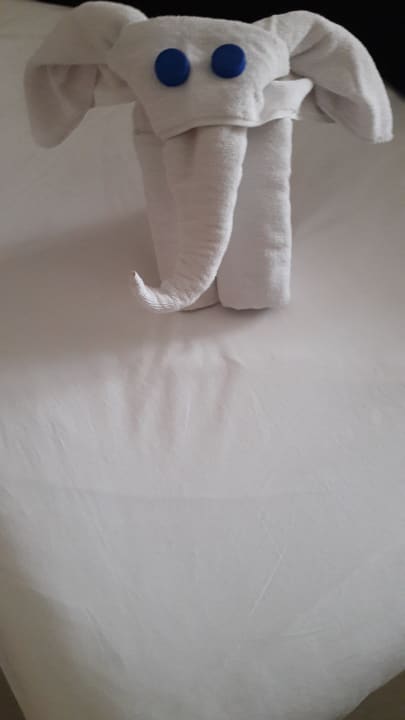 Zimmer PALOMA Perissia