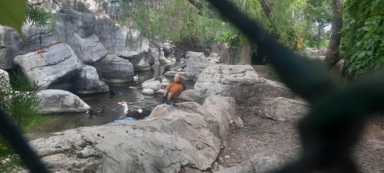 Gartenanlage Alba Resort Hotel