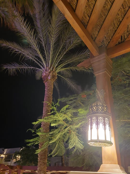 Lobby Hotel JAZ Makadi Star & Spa