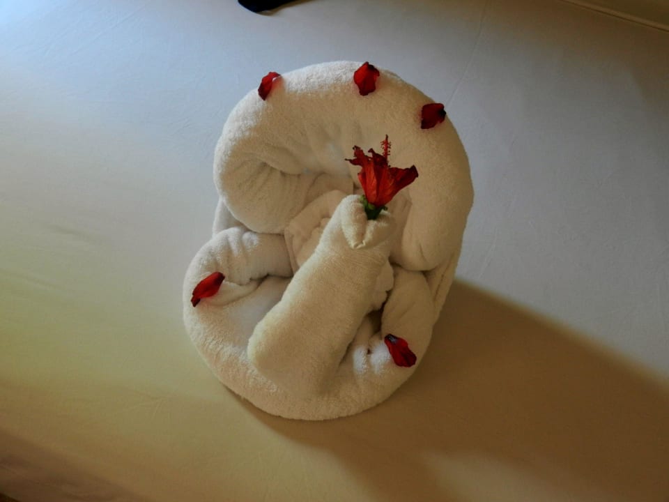 Täglich Steigenberger Coraya Beach - Adults only