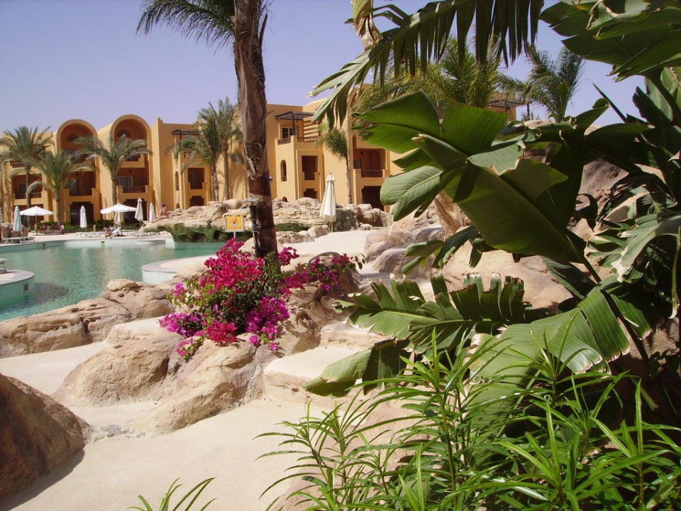 La piscina vista dal giardino Stella Beach Resort & Spa Makadi Bay