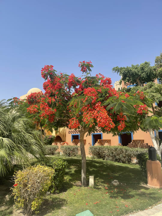 Gartenanlage Grand Makadi
