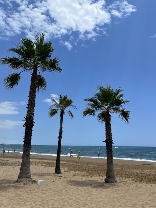 Strand Hotel Süral Resort