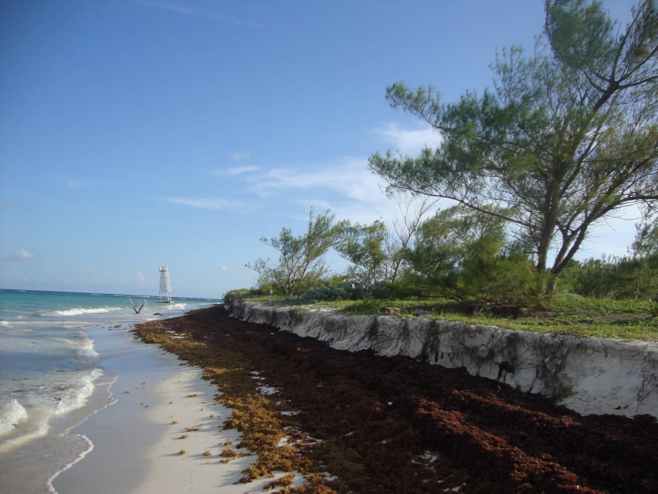 Hotel Catalonia Playa Maroma Catalonia Playa Maroma