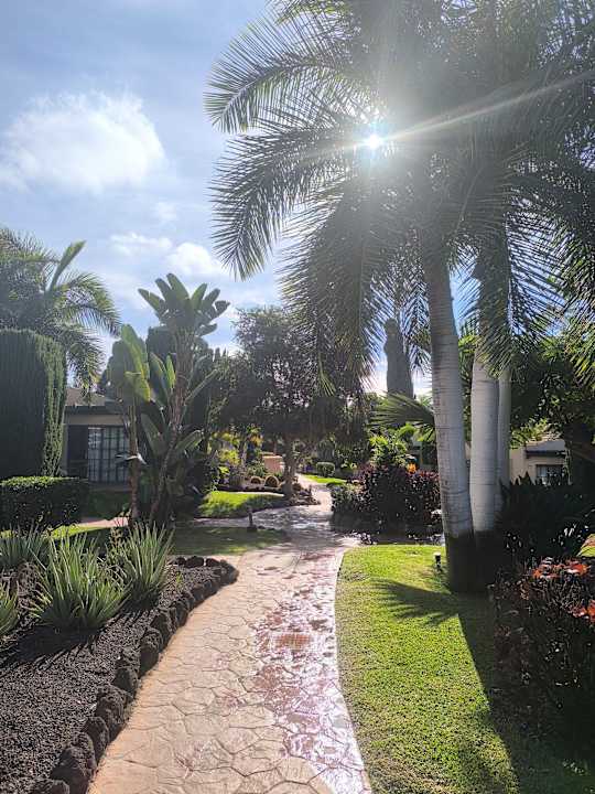 Gartenanlage allsun Hotel Esplendido