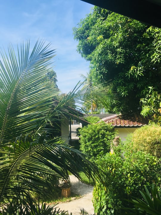 Ausblick Lucky Gecko Garden