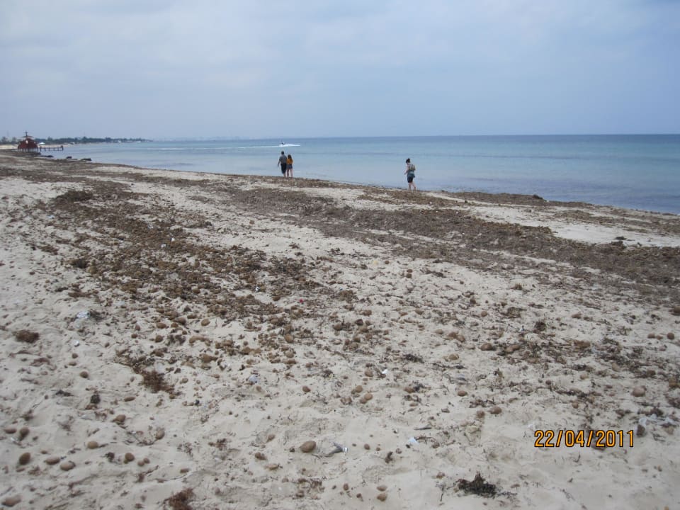 Der stinkende Strand Ruspina Beach Resort