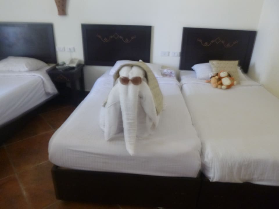 Zimmer Three Corners Sea Beach Resort