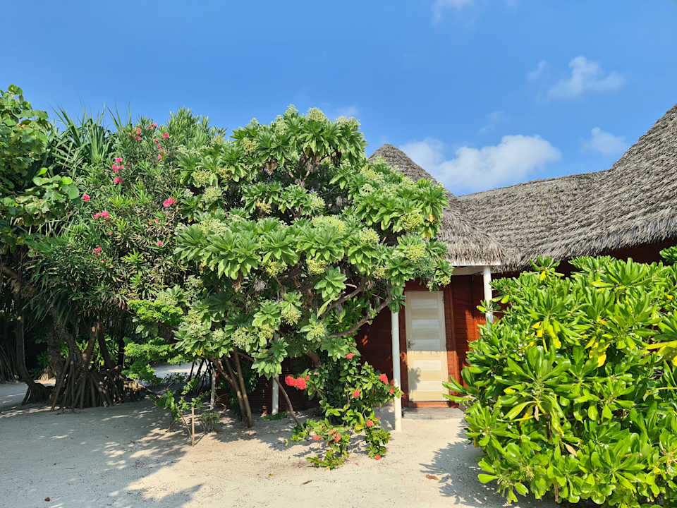 Gartenanlage Brennia Kottefaru