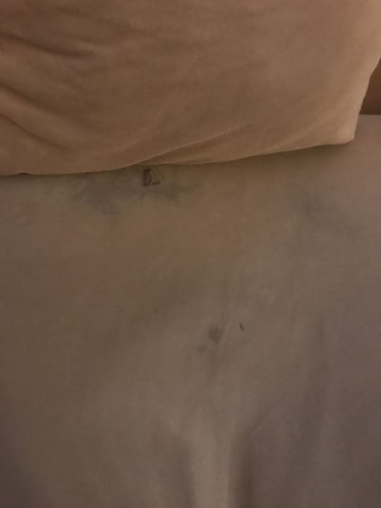 Lobby Royal Park Hotel & Aqua park