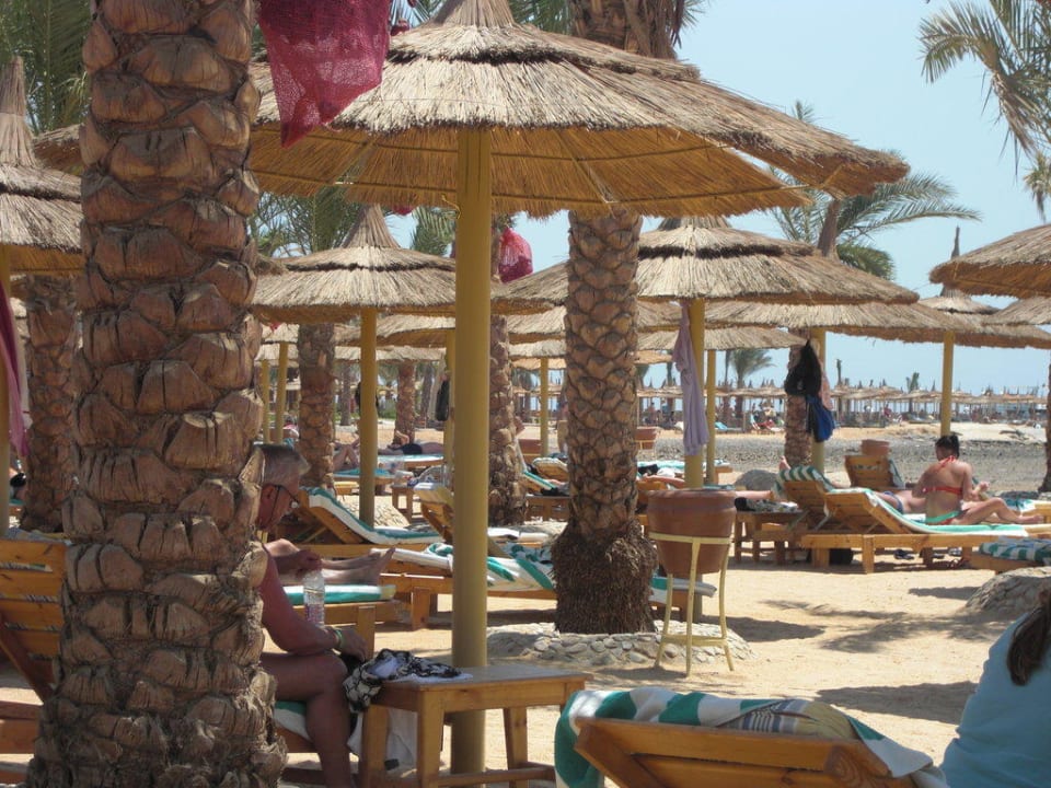 Strand Pickalbatros Palace Resort