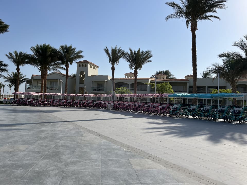 Sport & Freizeit Pickalbatros Dana Beach Resort - Hurghada