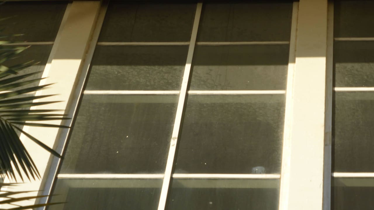 Verdreckte Scheiben PALOMA Perissia