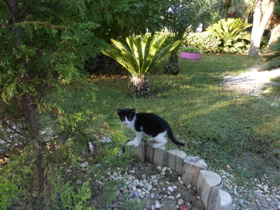 Sonstiges VONRESORT Golden Coast