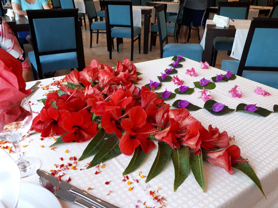 Restaurant Asteria Collection Side