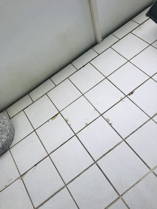 Zimmer Das Allgäu