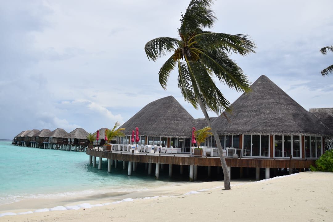 Gastro Sun Siyam Vilu Reef