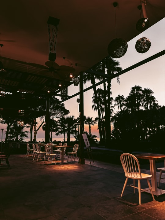 Gastro Acanthus Cennet Barut Collection