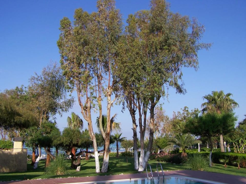 Ausblick von der Rutsche Richtung Strand Iz Flower Side Beach Hotel