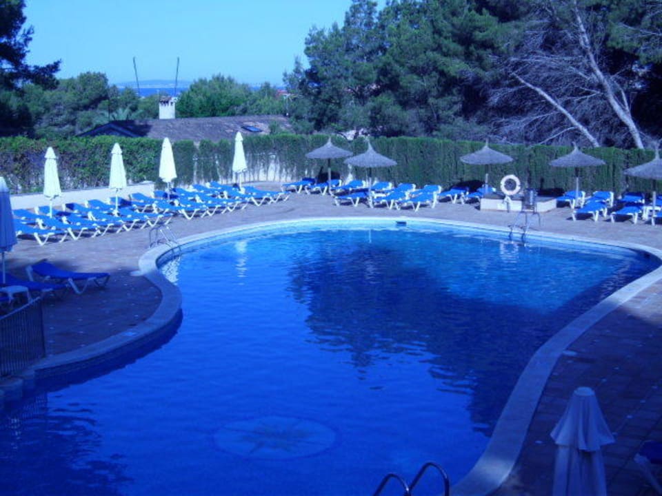 Pool Grupotel Orient
