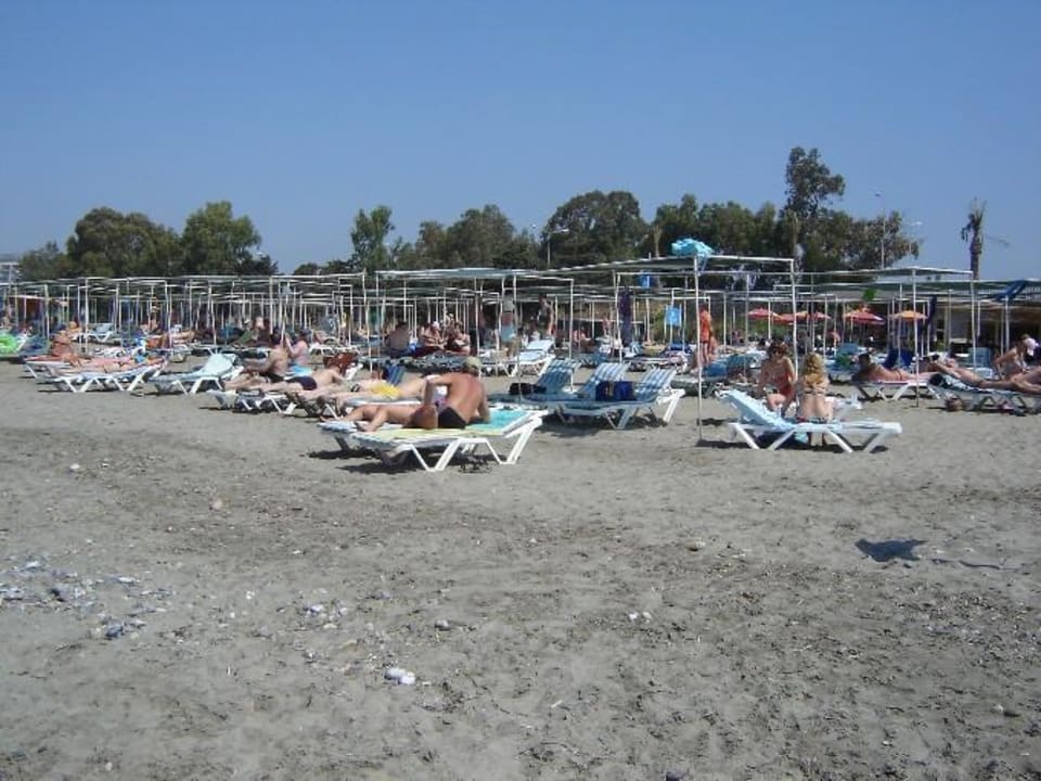 Der Strand.. Aydinbey Gold Dreams