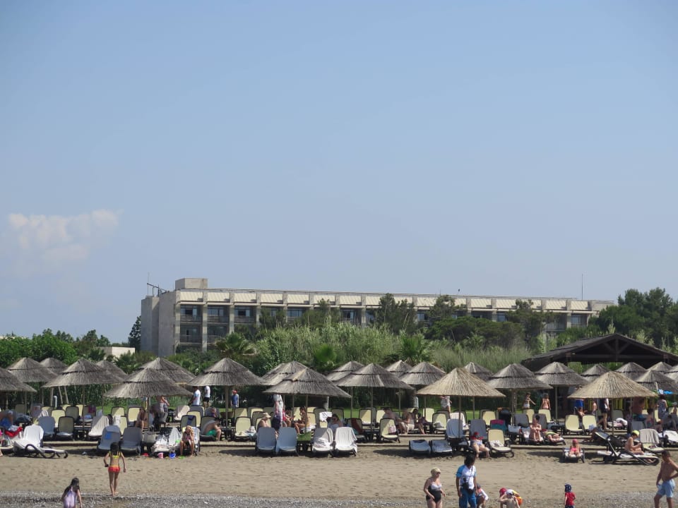 Blick auf den Strand Gloria Serenity Resort