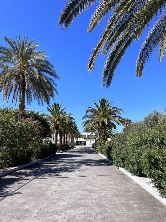 Sonstiges Phãea Cretan Malia