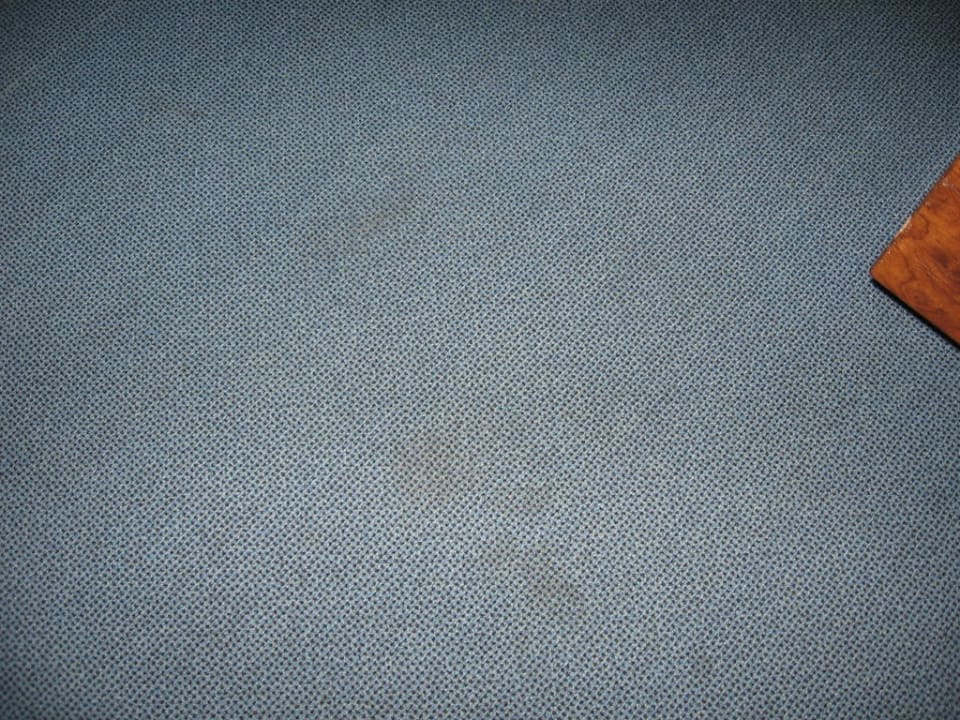 Teppich bekleckert Hotel Nevada Hamburg