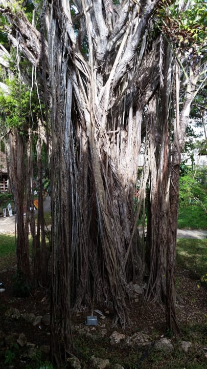 Hotel Baobab Beach Resort Baobab Beach Resort & Spa