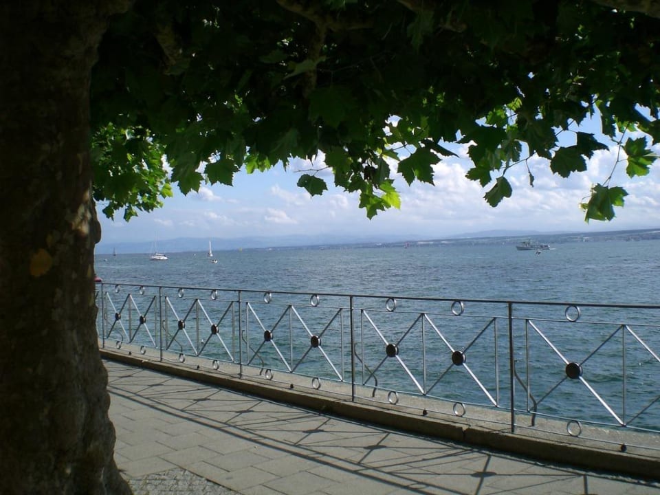 Der Bodensee von der Promenade in Meersburg Hotel Fischerhaus Garni