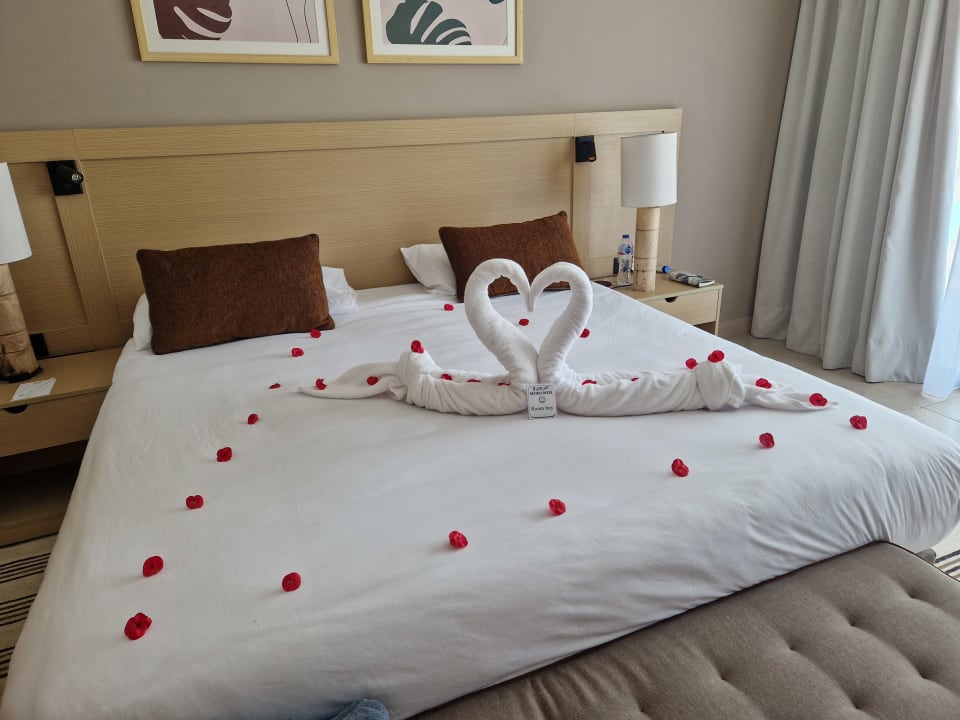 Zimmer JAZ Elite Amara