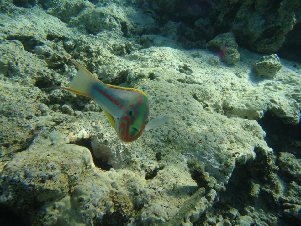 Strand Makadi Palace