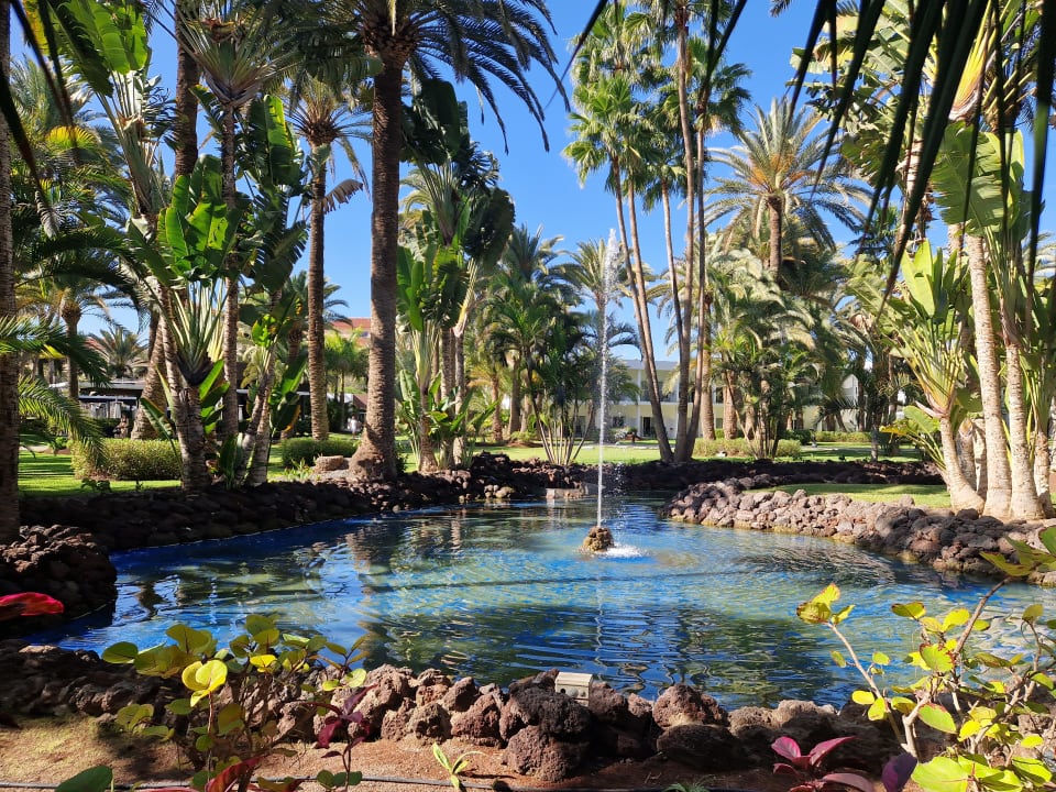 Gartenanlage Hotel Riu Palace Oasis