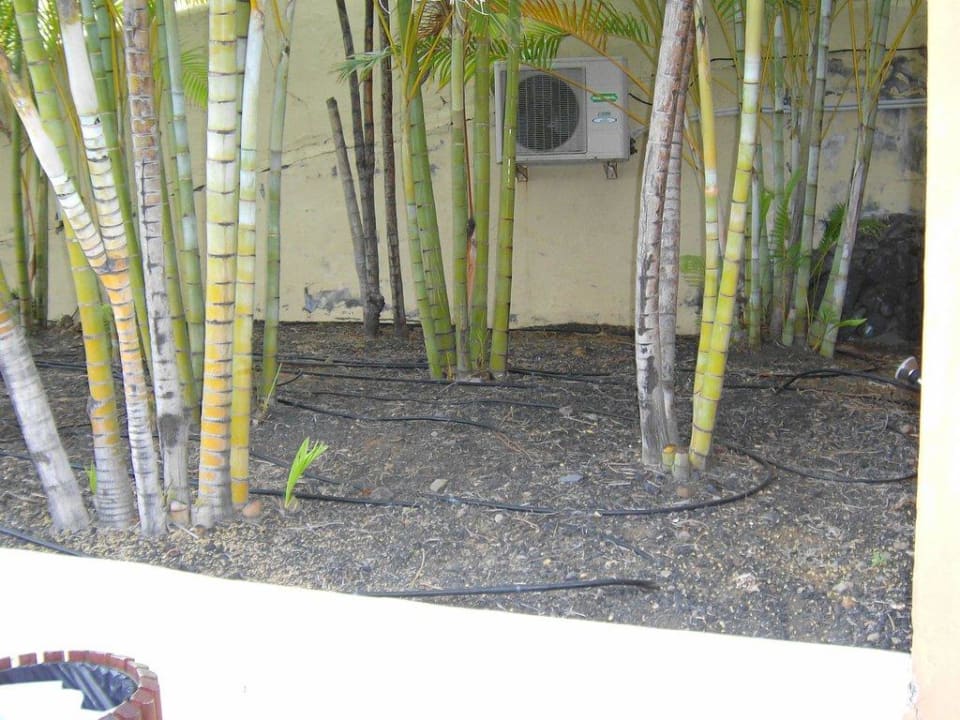 Schläuche und Kabel - überall La Palma Princess