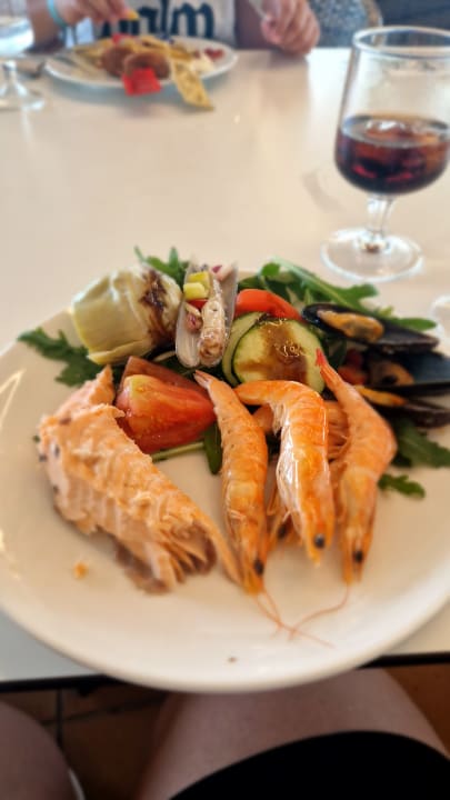 Gastro blau punta reina