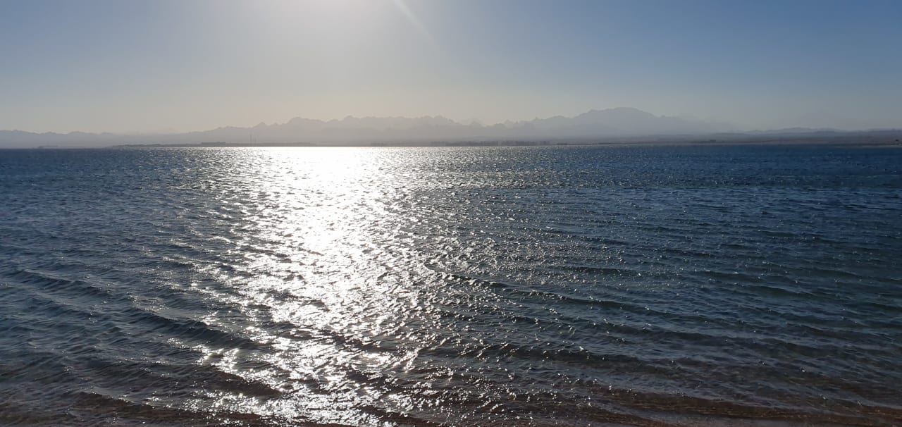 Ausblick Hotel Kempinski Soma Bay