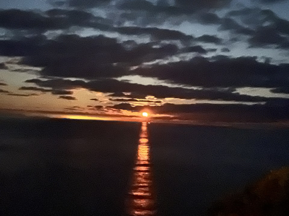 Außenansicht Apartamentos Arenal d'Or